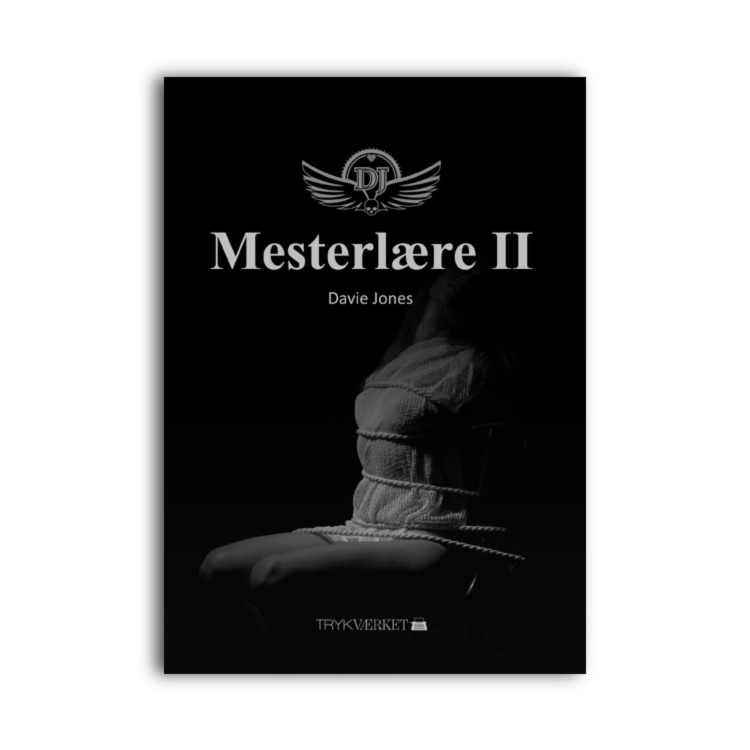 Mesterlære Ii Noveller Af Davie Jones