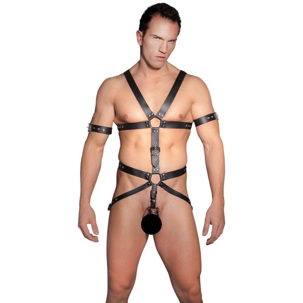 Herren Harness S M fra Zado